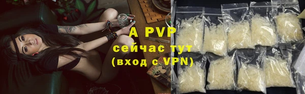 крисы Киренск