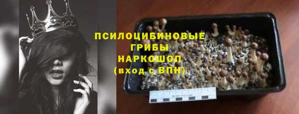 крисы Киренск