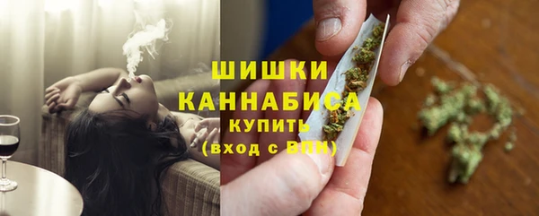 индика Янаул