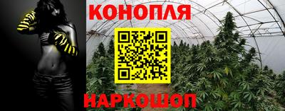 гашишное масло Берёзовский