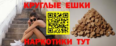 твердый Гусев
