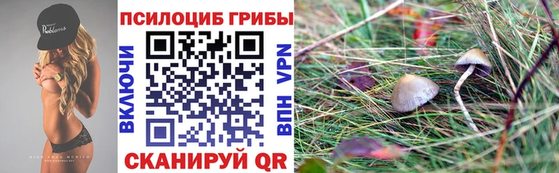 Псилоцибиновые грибы ЛСД  Пушкино 
