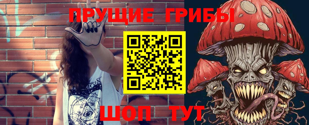 Галлюциногенные грибы Psilocybe  Пушкино 